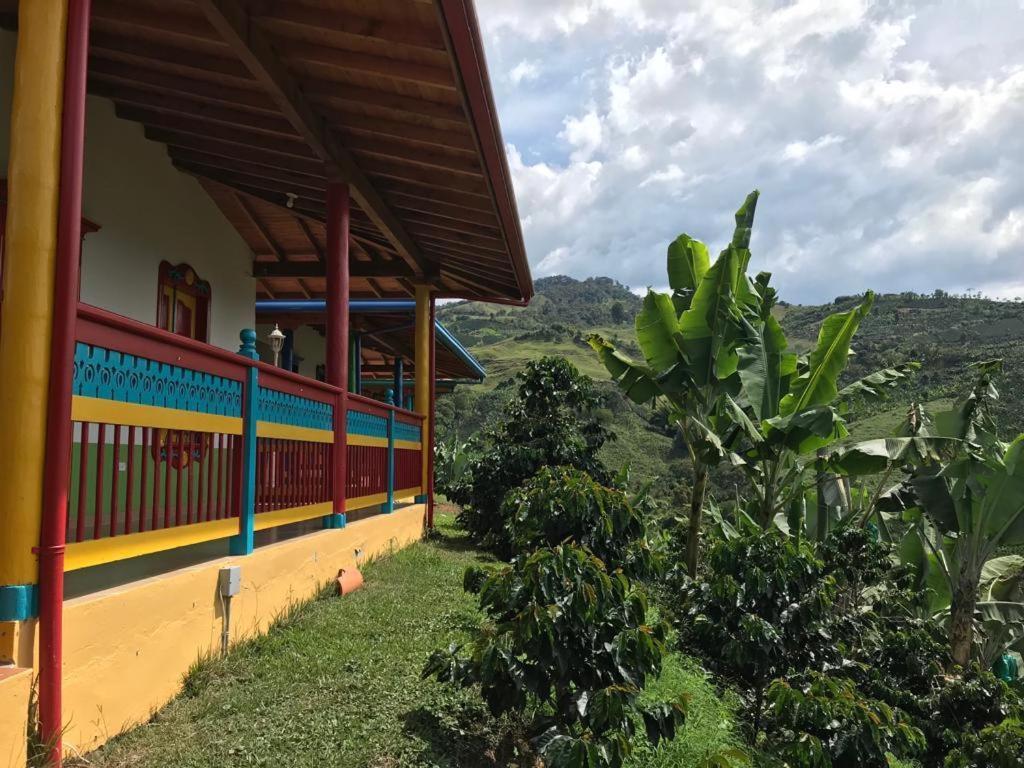 Cabana Filo De Oro, Jardin别墅 外观 照片